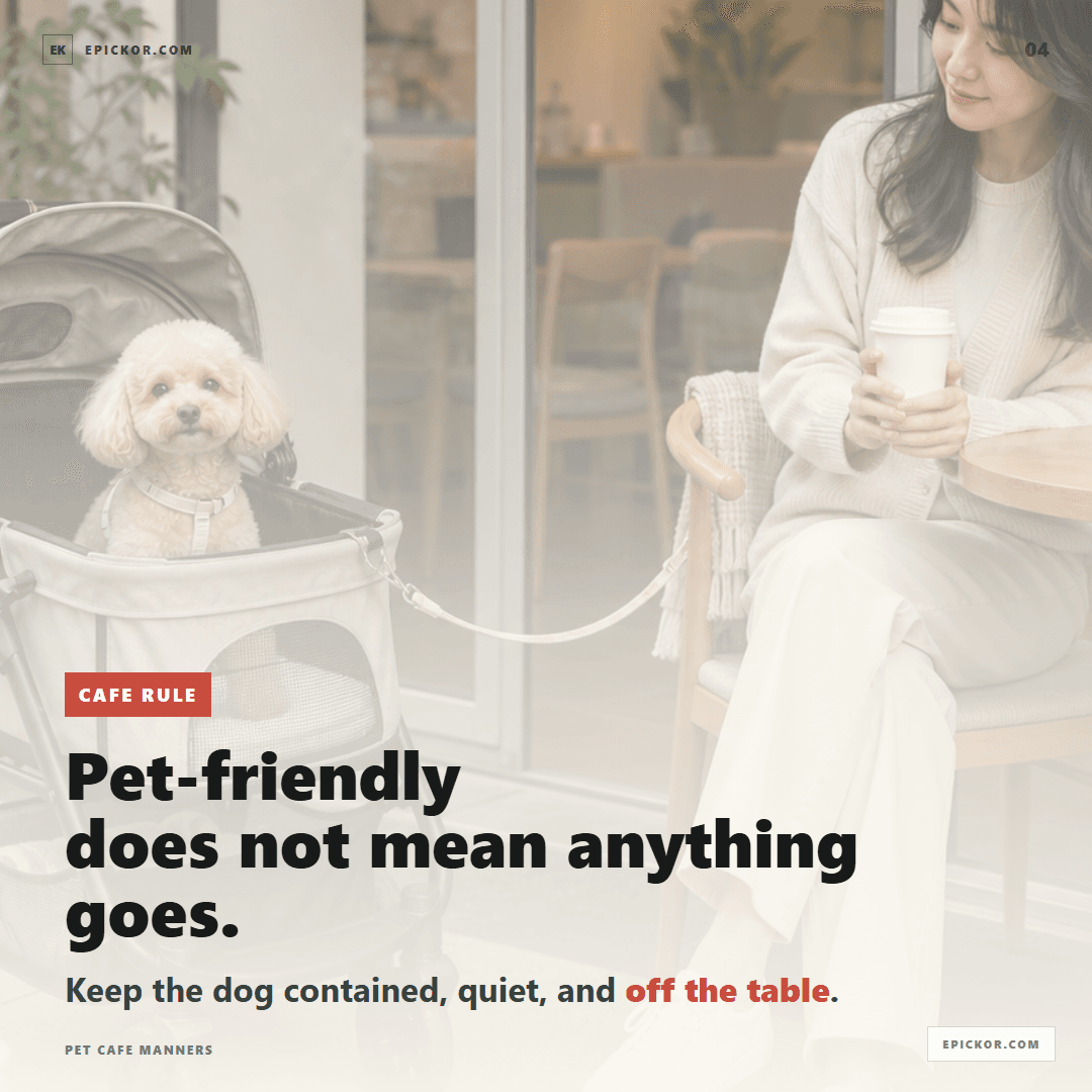 Pet cafe manners
