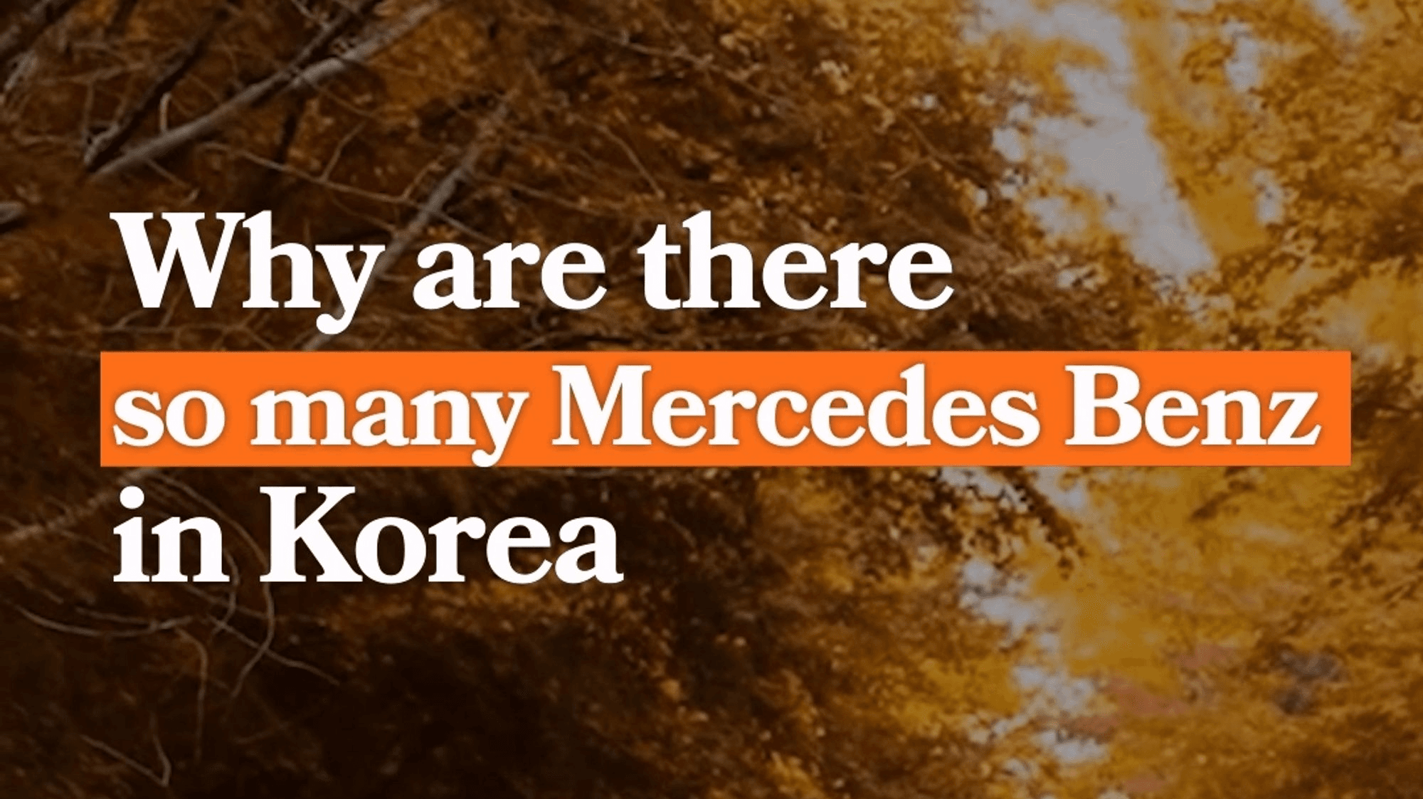Exploring the Popularity of Mercedes Benz Among Koreans : Why Are There So Many Mercedes Benz in Korea?