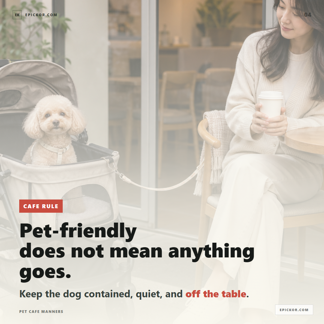 Pet cafe manners