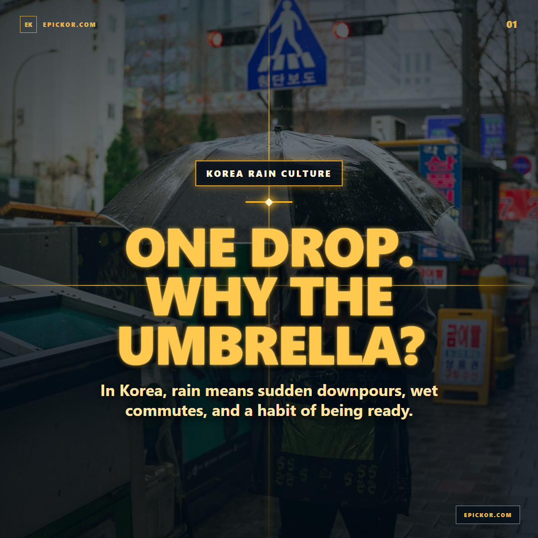 The Umbrella Protocol: Why Koreans Refuse to Get Wet guide cover