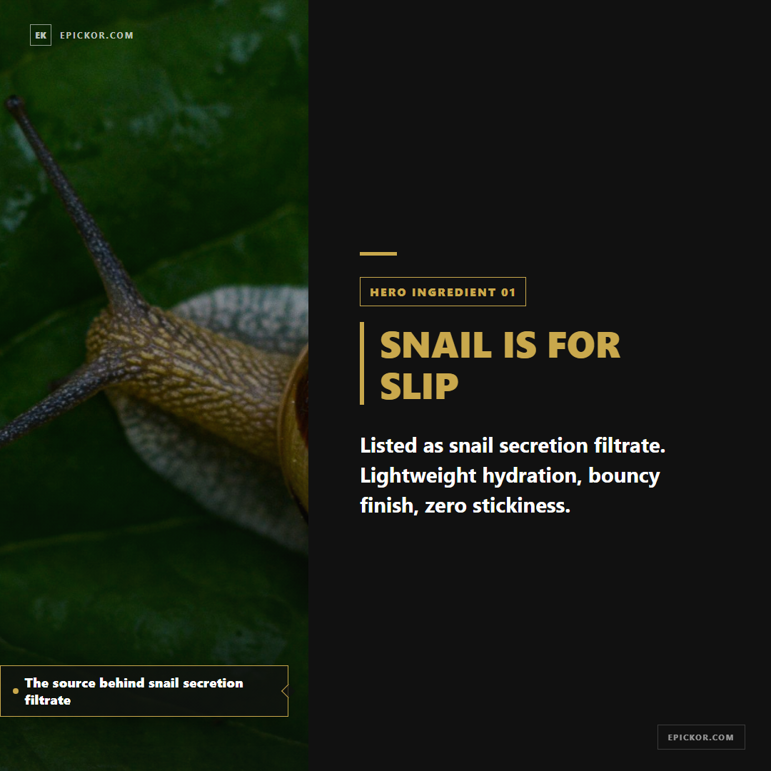 The source behind snail secretion filtrate