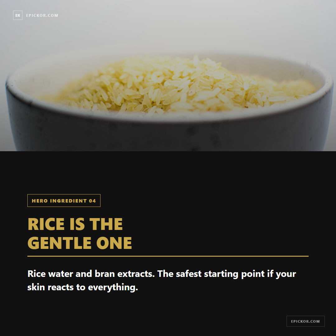 Rice water and rice bran extracts