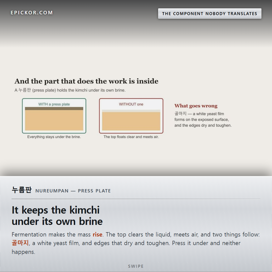 EpicKor diagram — the 7L and 3.2L containers drawn to scale on one footprint, and a cross-section of kimchi held under brine by a 누름판 (press plate) against kimchi floating above the brine without one