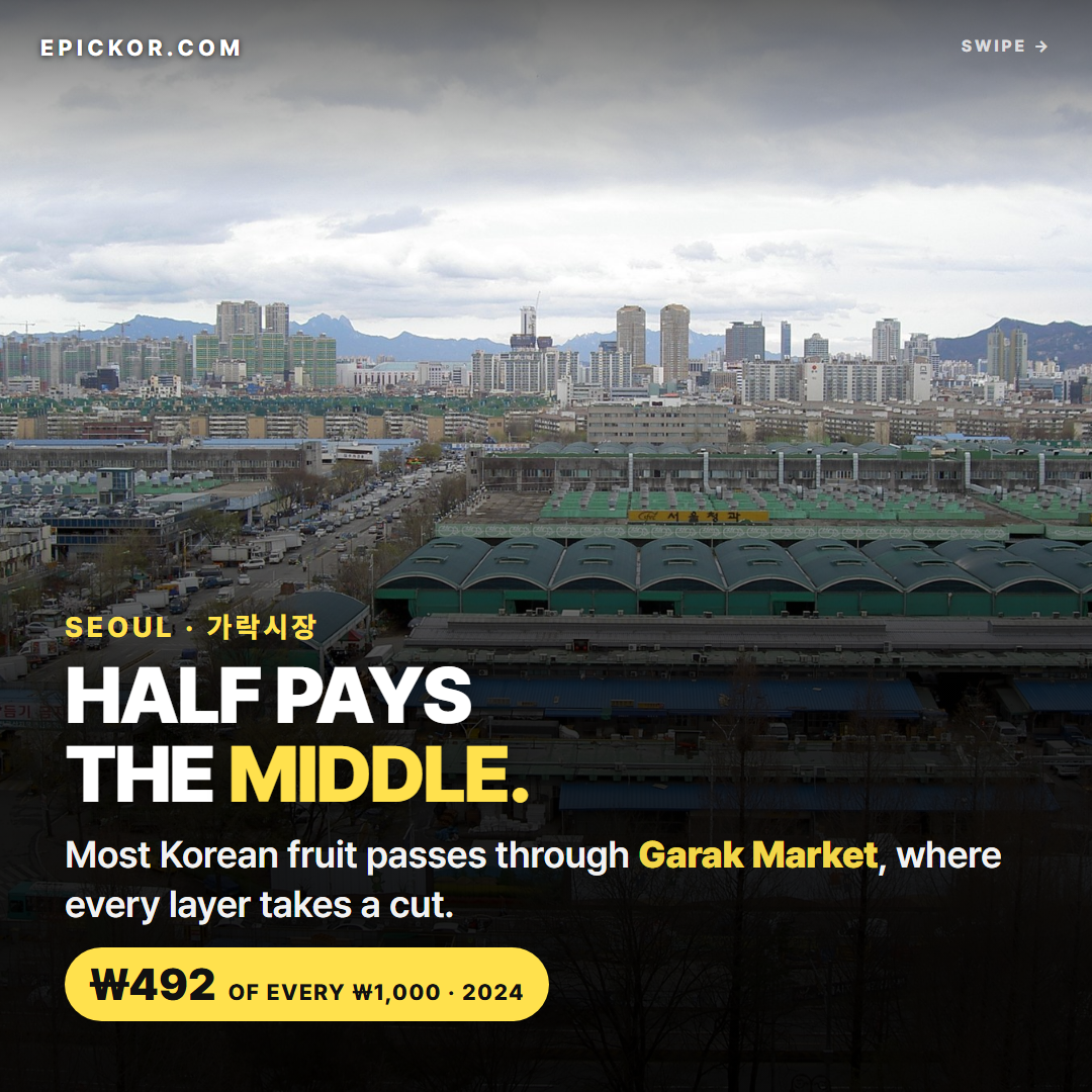 Aerial view of Garak Market, Seoul's wholesale produce market, with the 서울청과 and 농협가락공판장 wholesaler roofs and the city behind