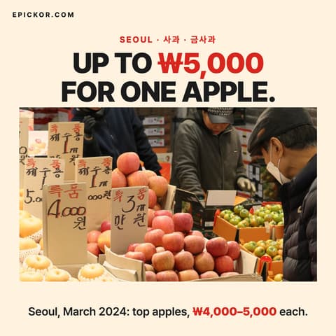 Why Is Fruit So Expensive in Korea? The Country That Has Never Imported an Apple guide cover