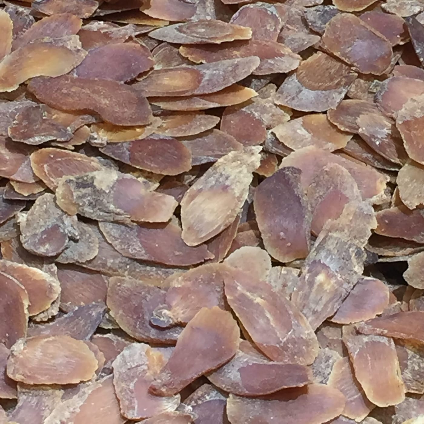 Sliced Korean red ginseng root pieces filling the frame.