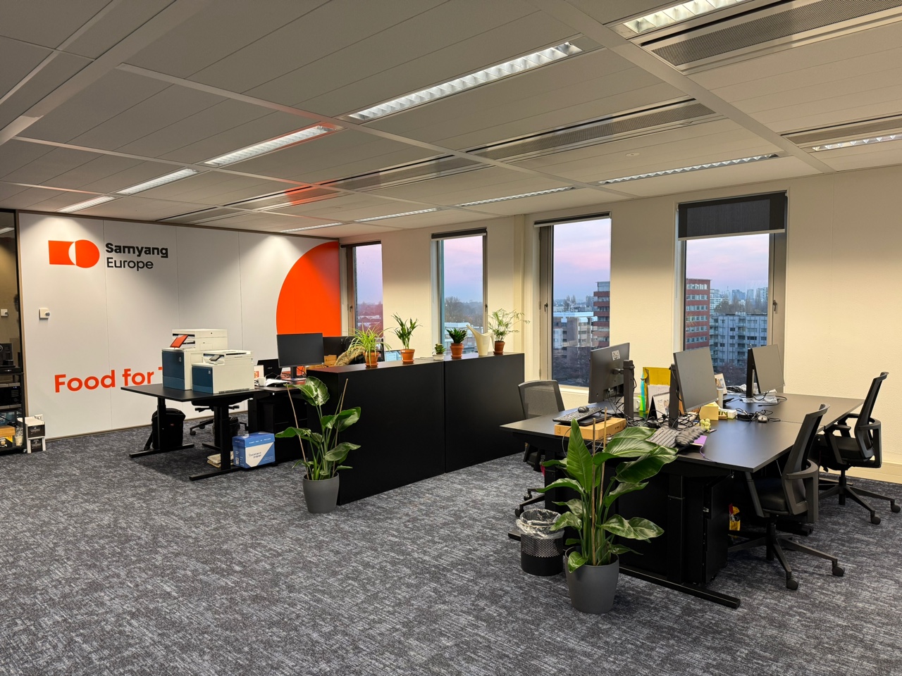 The official Samyang Foods Europe office in the Netherlands represents the regional sales infrastructure behind a brand distributed across dozens of European markets.