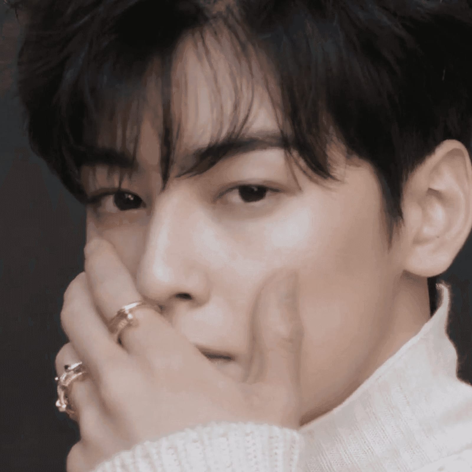 Cha Eun-woo fashion-oriented frame from the original EpicKor visual package.