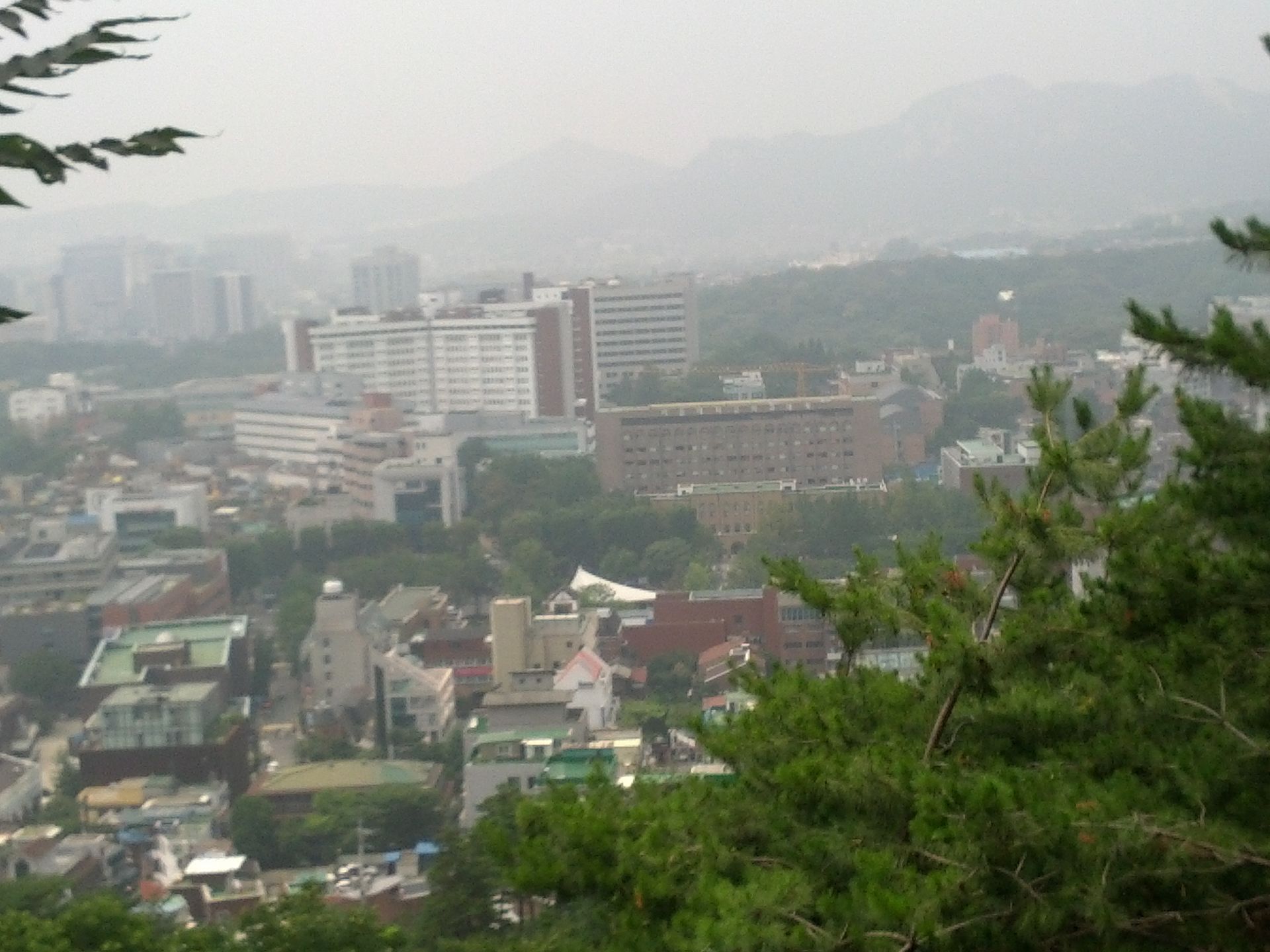 Seoul National University Yeongeon medical campus viewed from Naksan Park