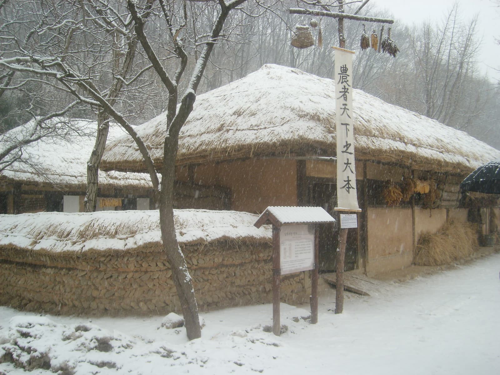 A thatched-roof farmhouse under fresh snow at the Korean Folk Village, with a bare tree and a wooden information board in front.