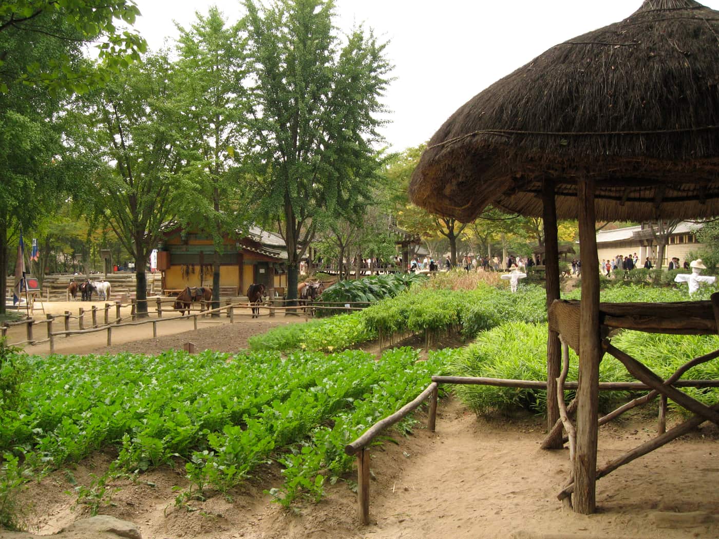 A thatched open-sided wondumak shelter beside a vegetable field at the Korean Folk Village, with trees and village houses behind.