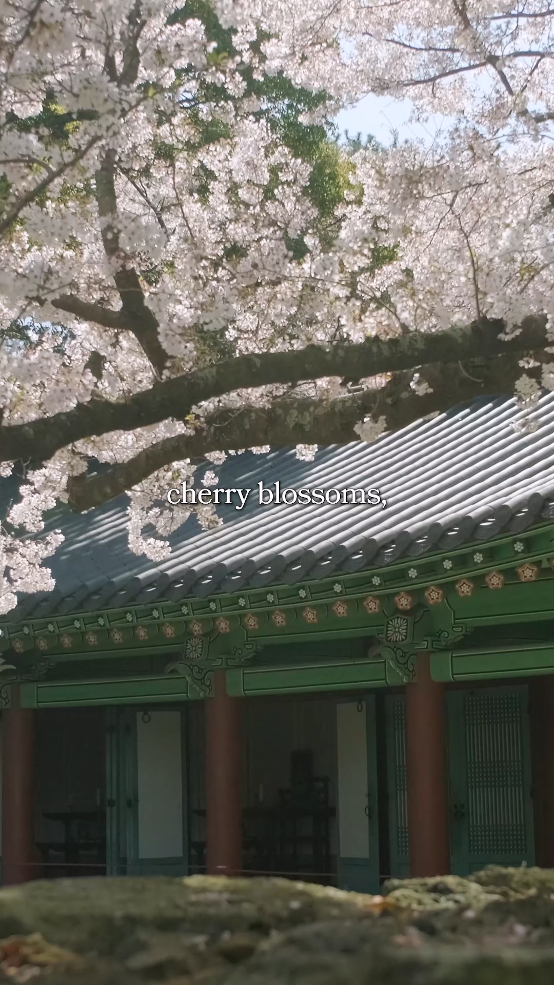 Seoul city streets covered in snow with pedestrians in long puffers