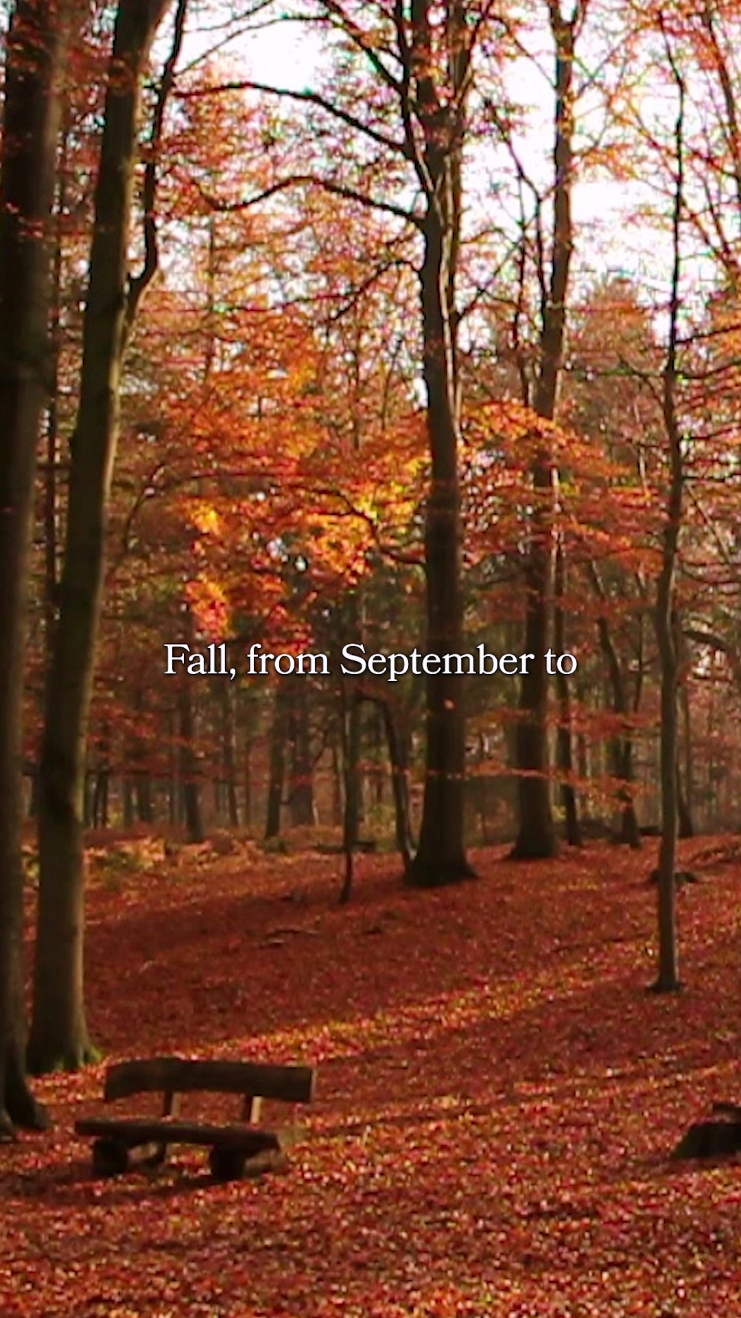 Illustration of the traditional Ondol underfloor heating system