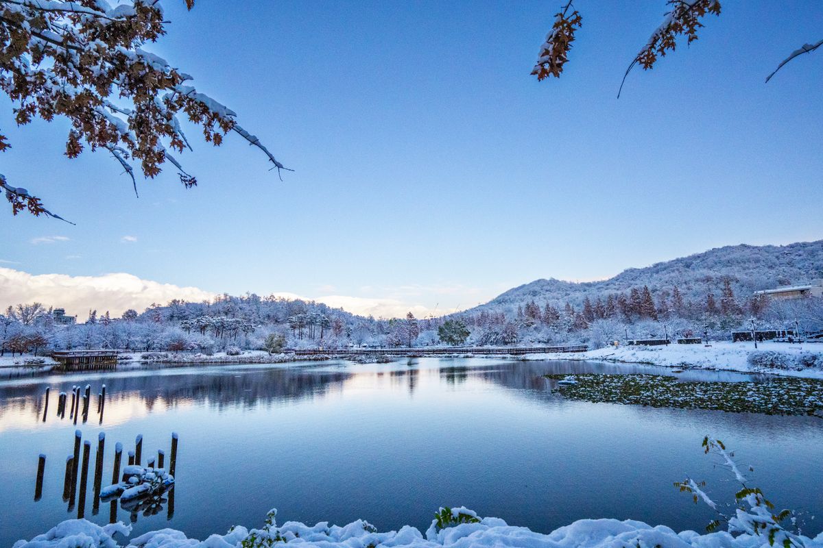 A snow-covered lake and trees in Seoul under a clear winter sky