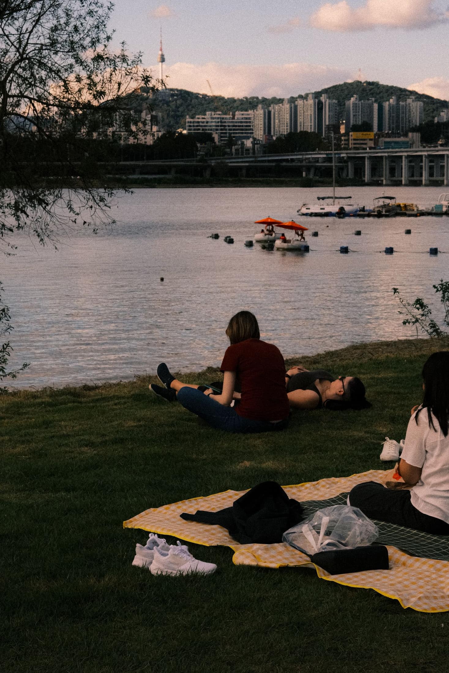A picnic scene beside the Han River with N Seoul Tower in the distance.