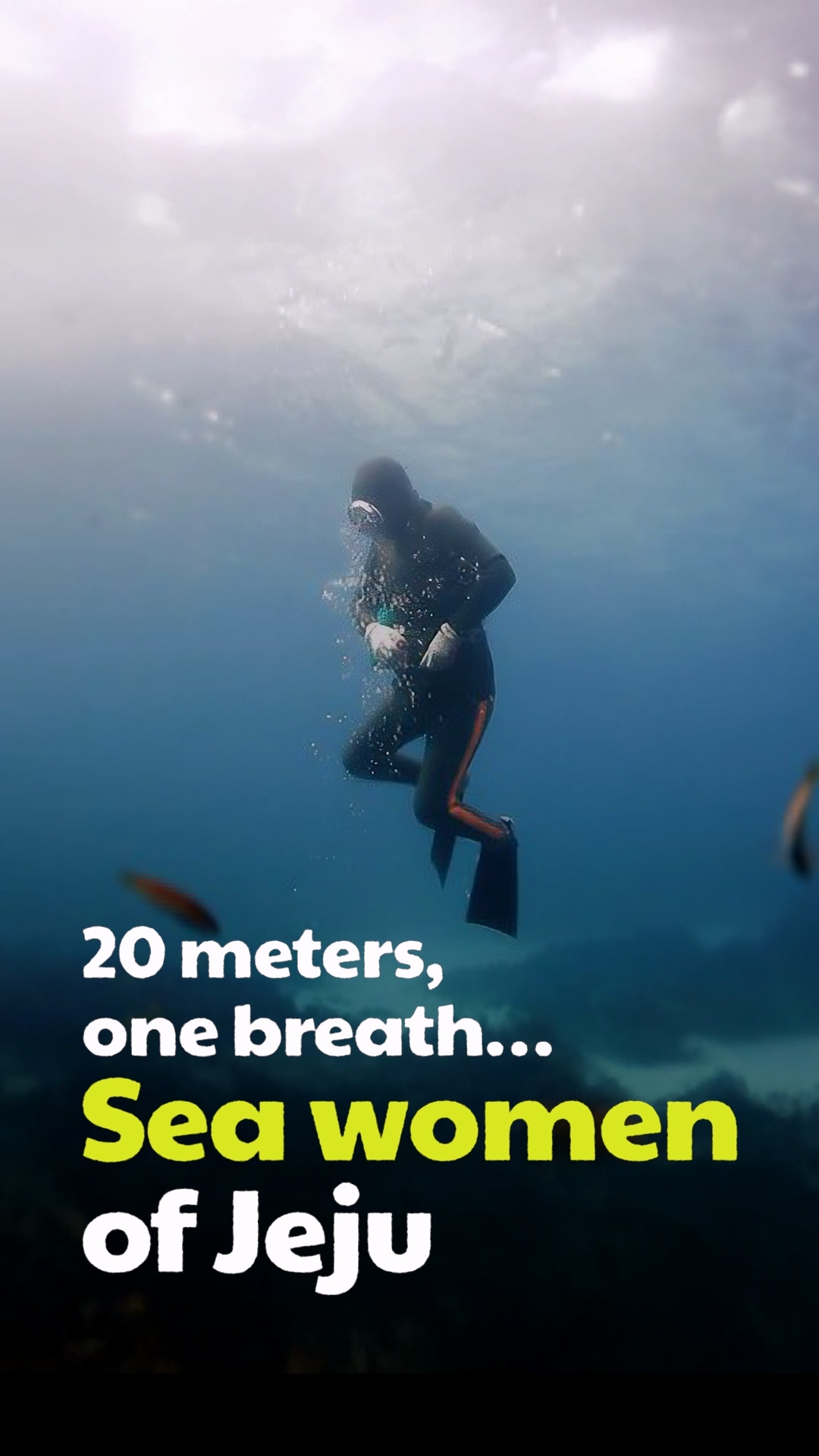 A Haenyeo diver emerging from the water with her harvest