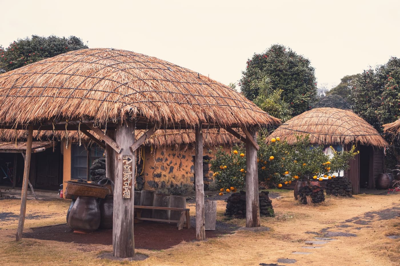 Traditional Jeju village with thatched houses and orange trees