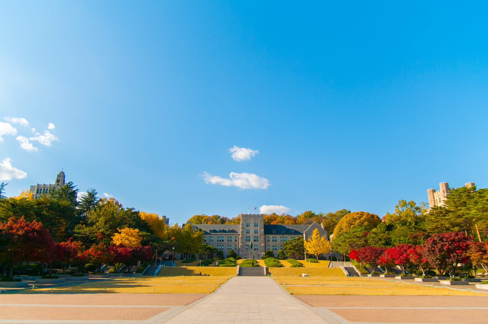 Korean University Life: Study Hard, Play Harder Culture Explained