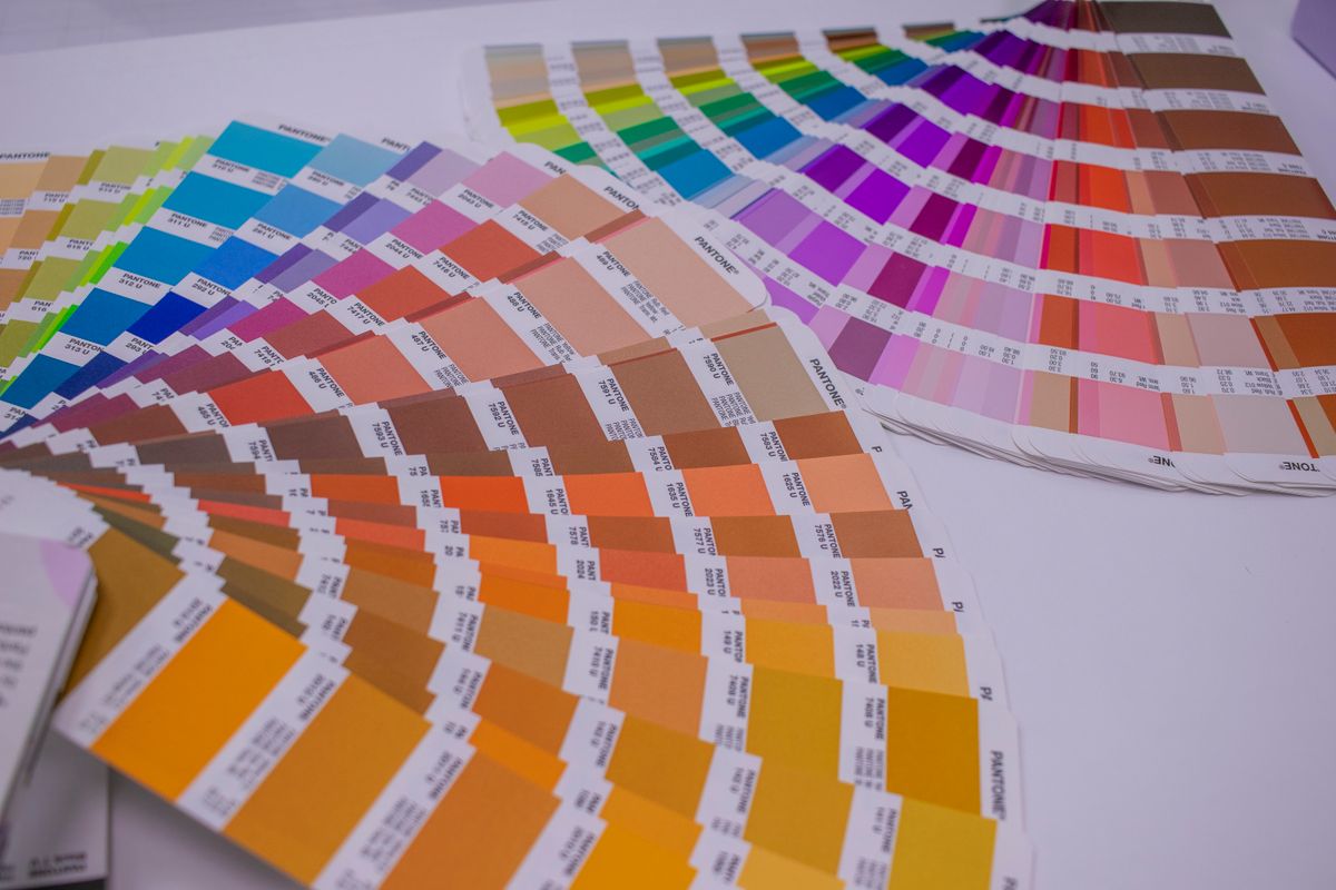 A spread of color swatches arranged by hue and tone.