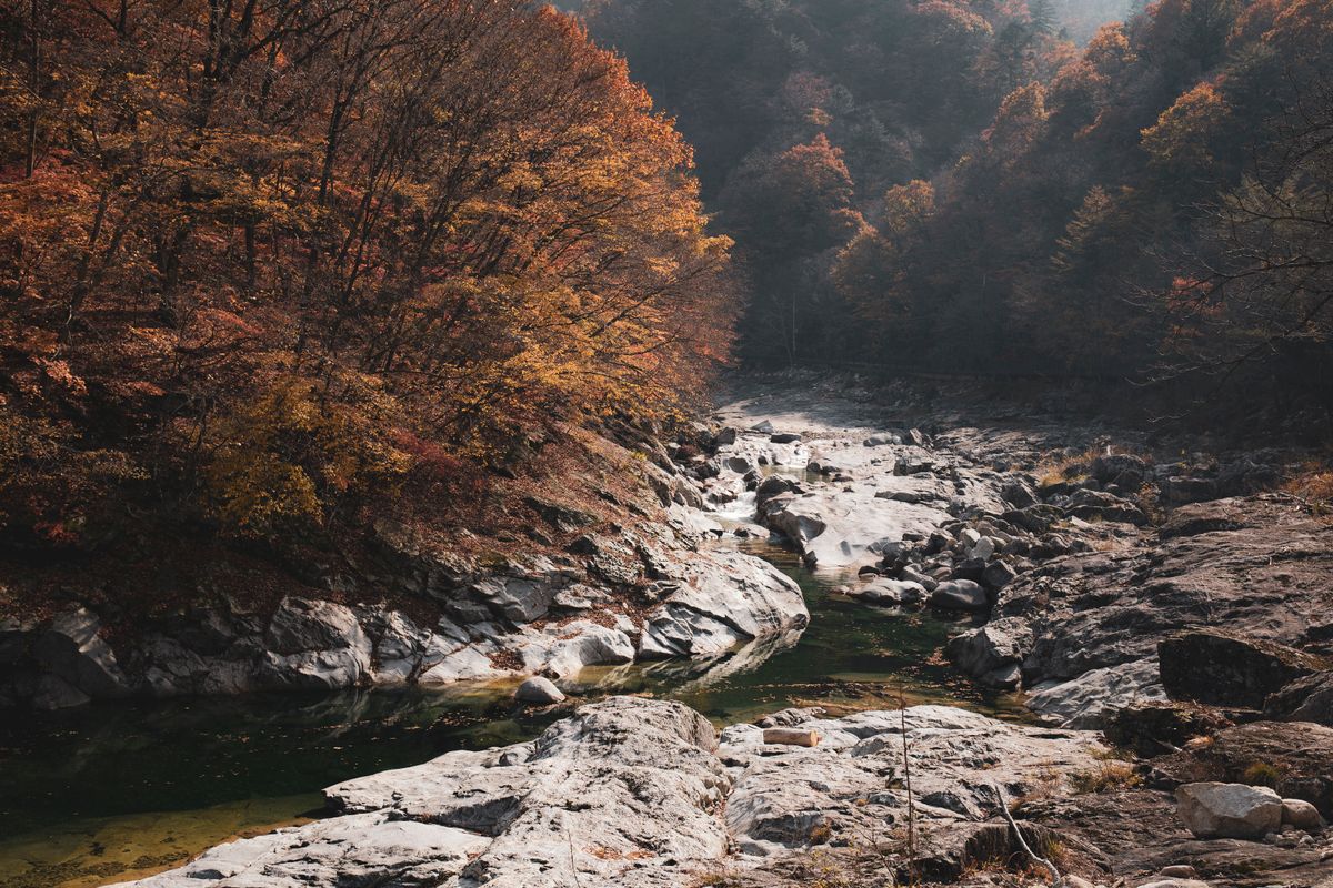 A rocky Gangwon-do riverbed surrounded by autumn trees.