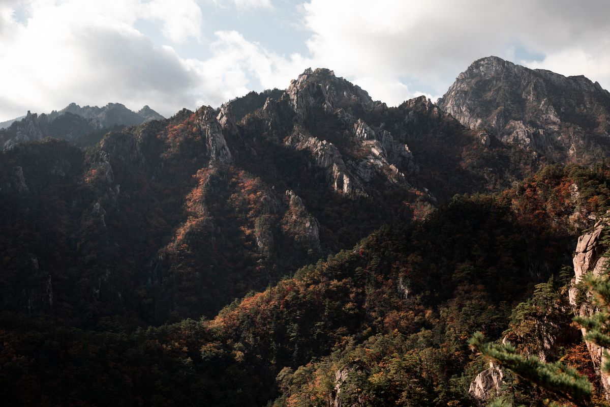 Korea Autumn Foliage 2026: The Forecast Peak Dates for Seoraksan, Seoul and Naejangsan