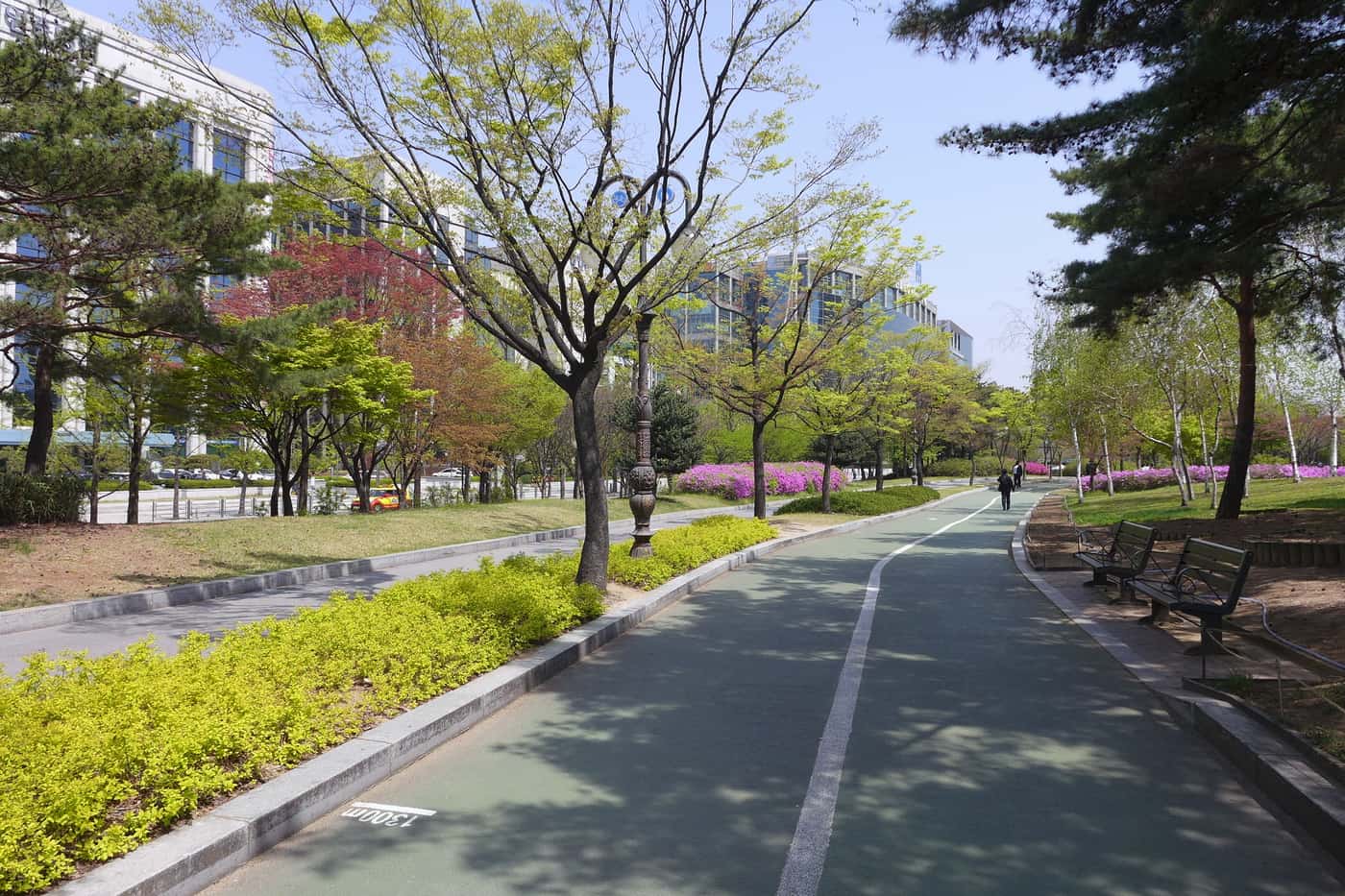 A green rubberised jogging track curving through Yeouido Park in Seoul, with a distance marker painted on the surface and office towers behind the trees.