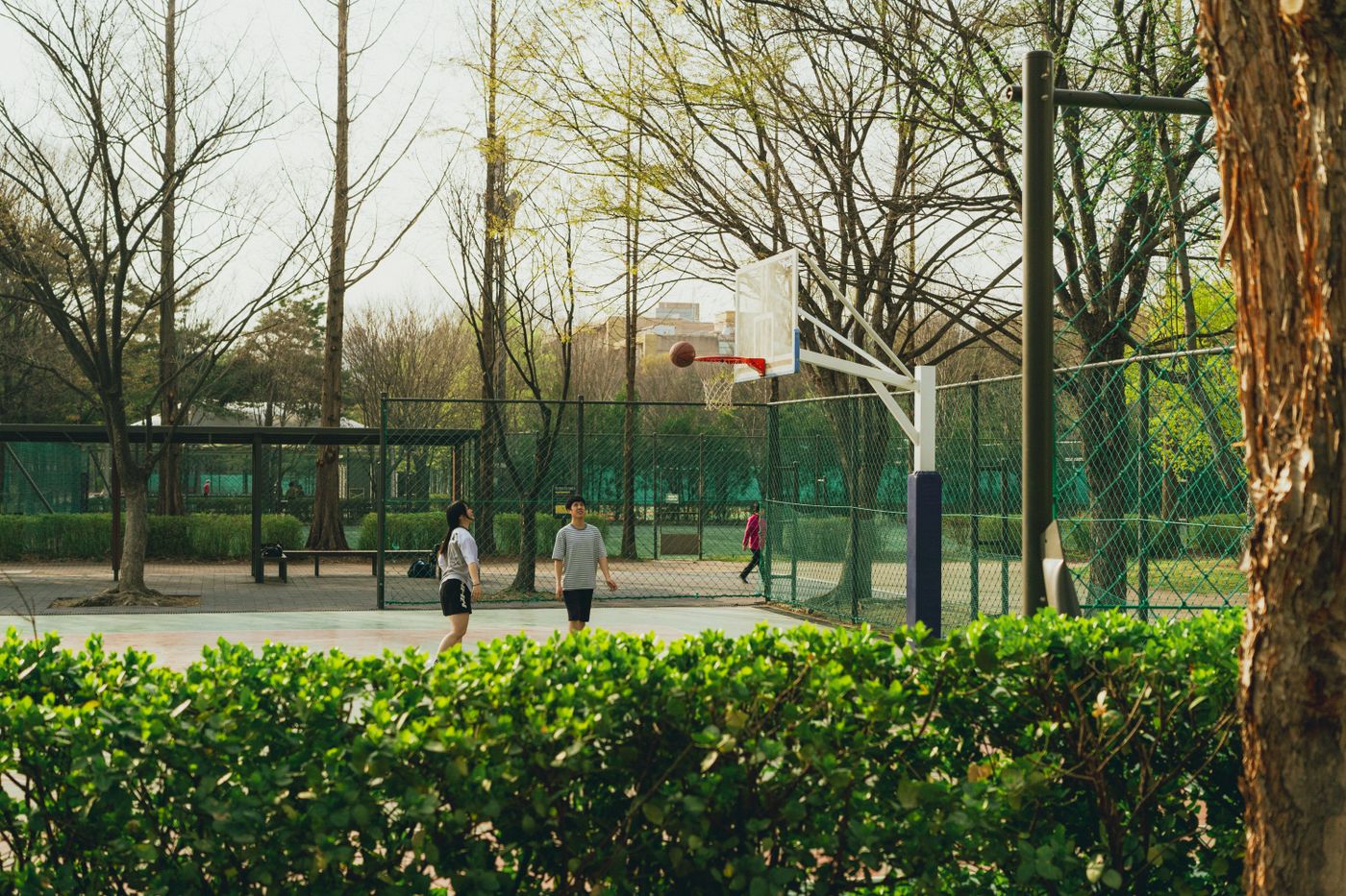 Two people playing basketball in a Seoul park, a useful contrast to Korea's indoor sports options.
