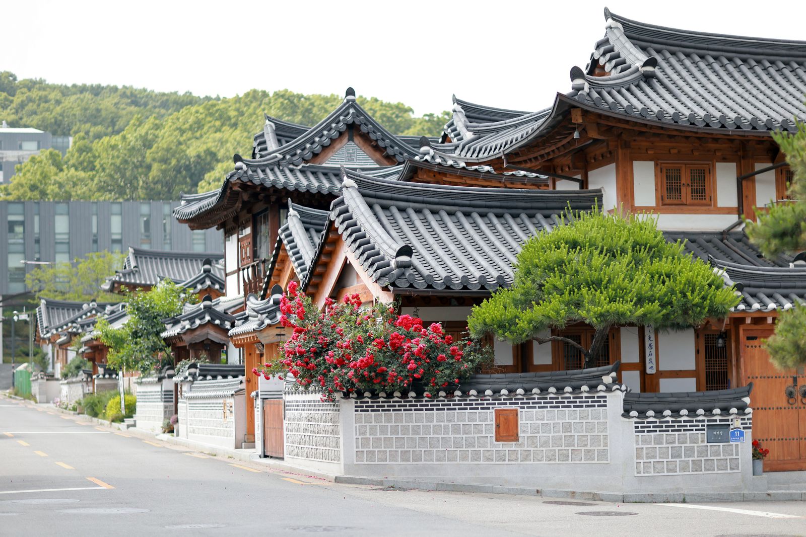 A green hanok lane in Bukchon.