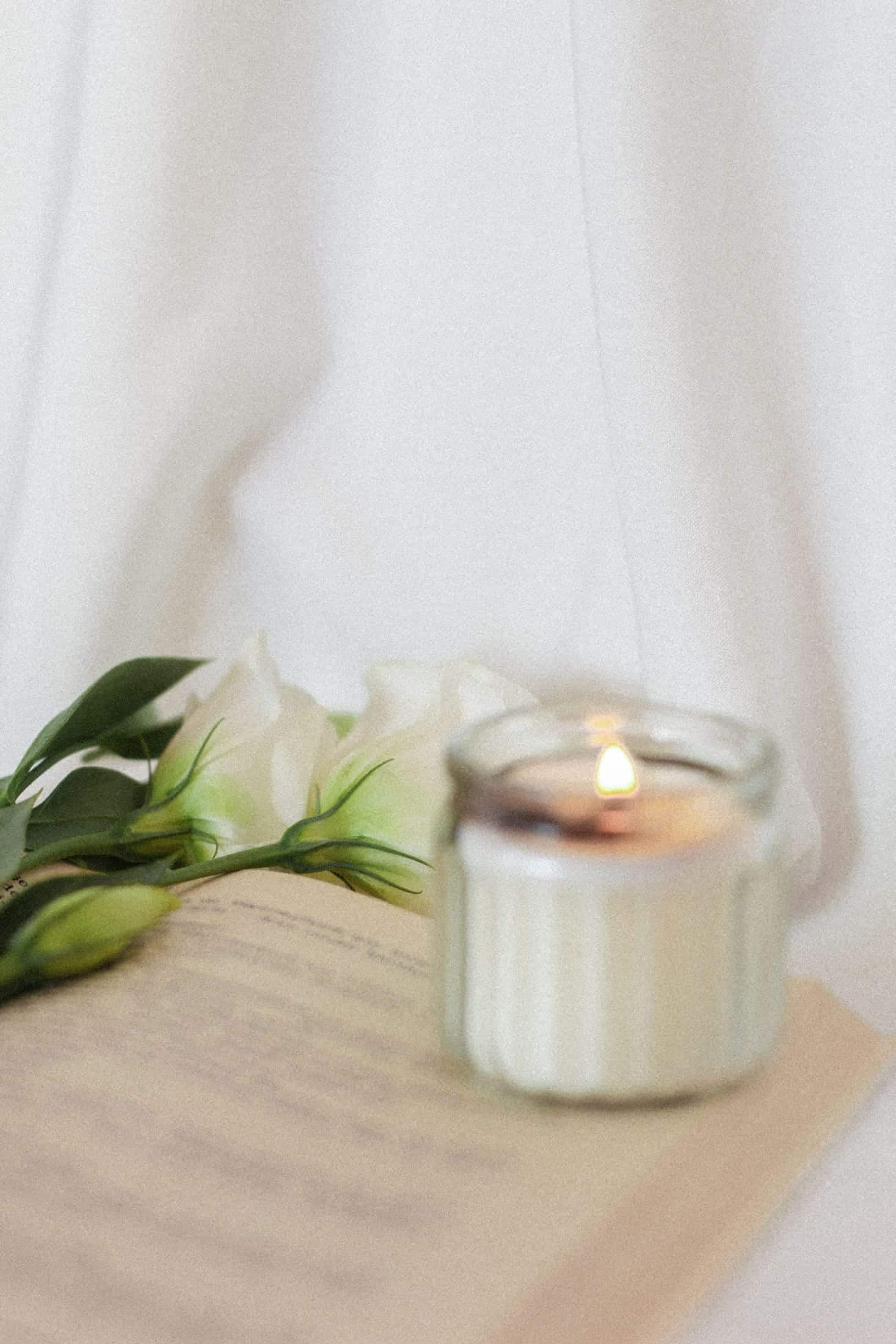 Korea's Pet Funeral Industry: How Koreans Say Goodbye to Their Pets