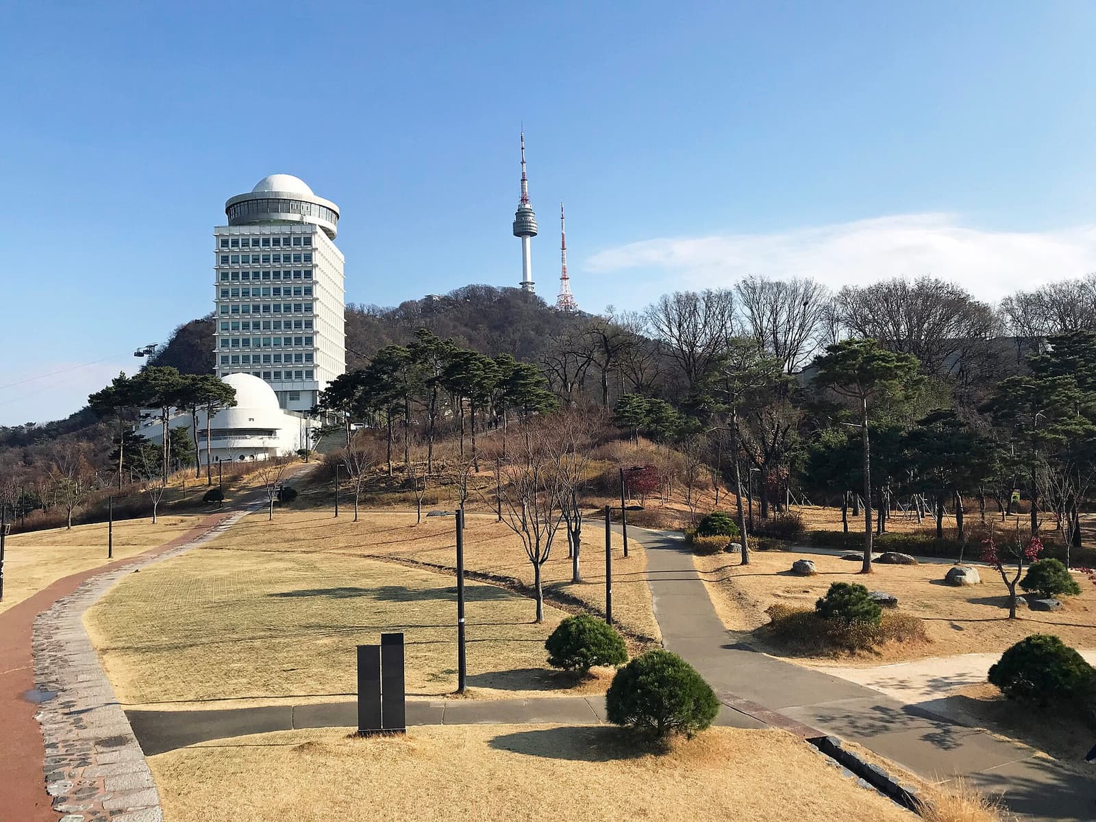N Seoul Tower rising above the wooded hillside of Namsan Park, seen from inside the park's walking trails.