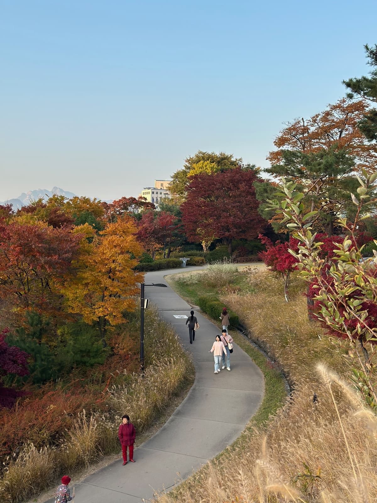 A real elevated hillside walkway through autumn foliage in Namsan Park, Seoul.