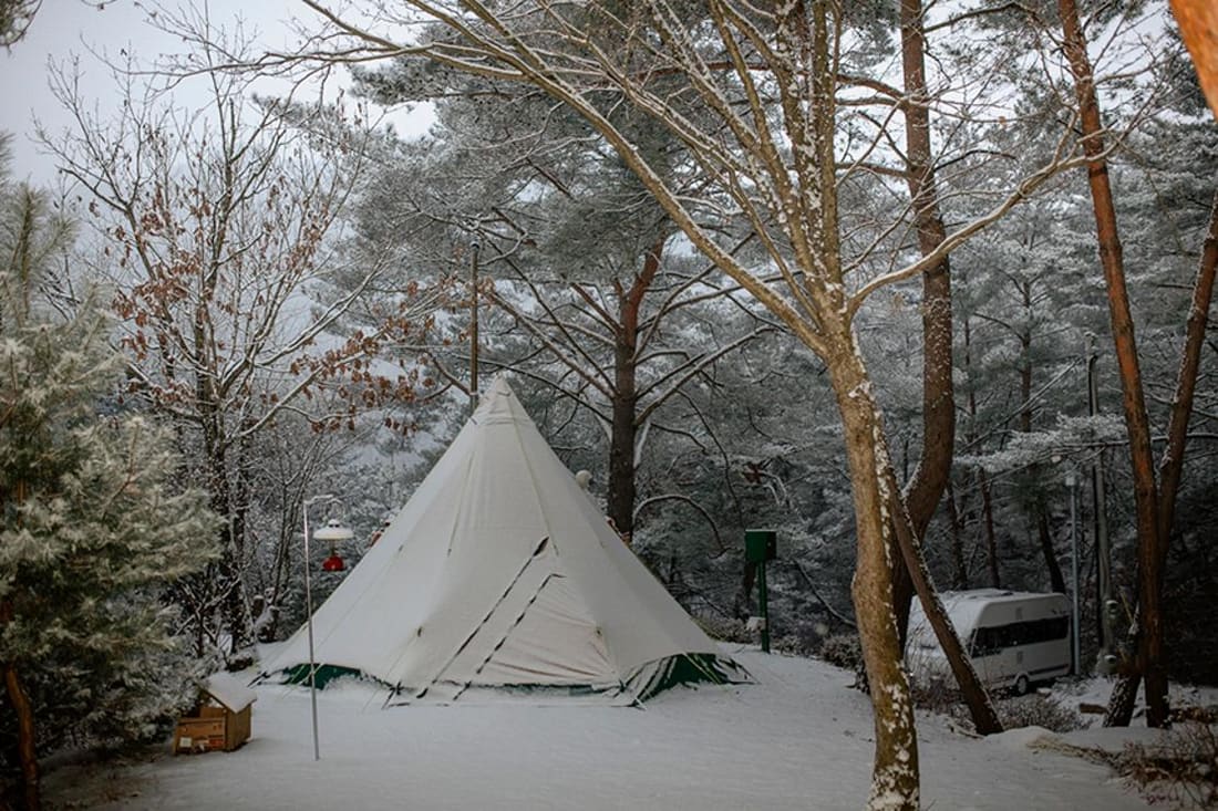 Tents pitched among snow-covered pines at a Korean winter campsite.
