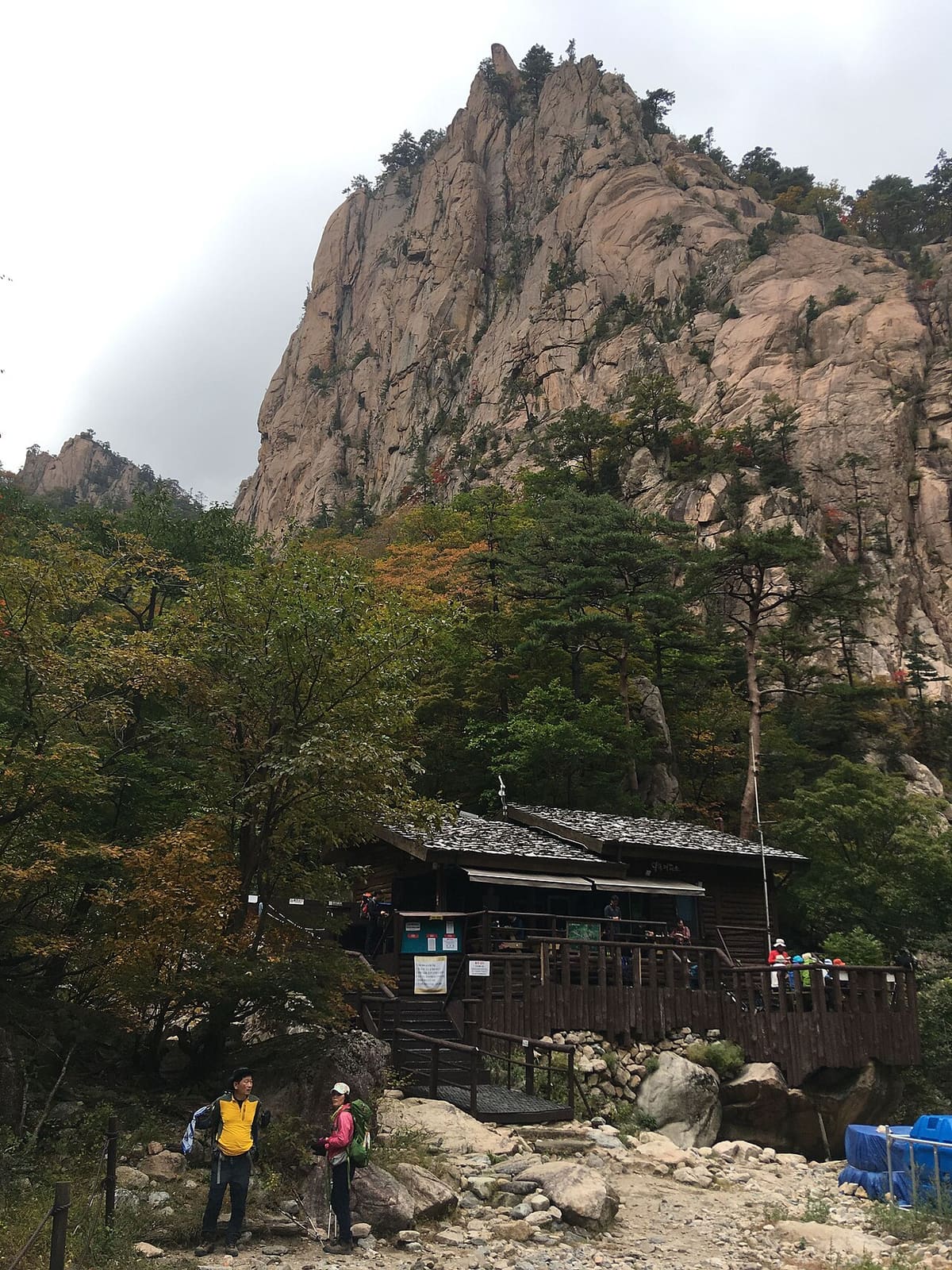 Wild Camping in Korea: Why You Can't, and Where to Sleep Instead