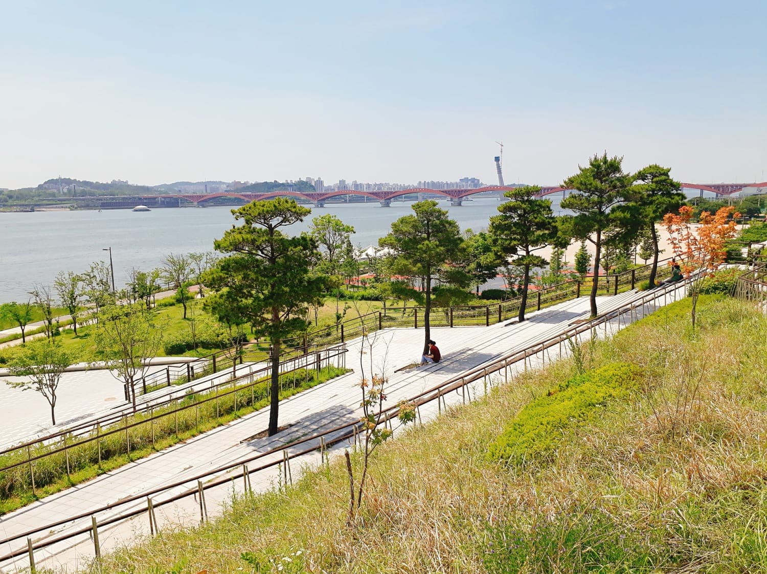 Mangwon Hangang Park along the river, with paths and open ground beside the water.