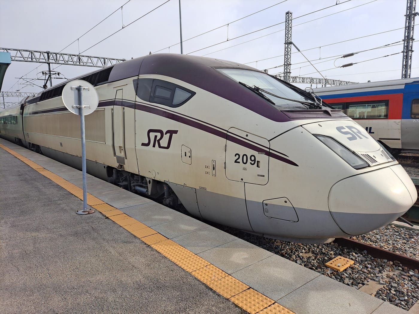 An SRT high-speed train stopped at a platform, photographed from the front quarter. The maroon SRT logo is large and clearly readable on the white nose, with unit number 209 below it, and a blue Korail commuter train is visible on the adjacent track.