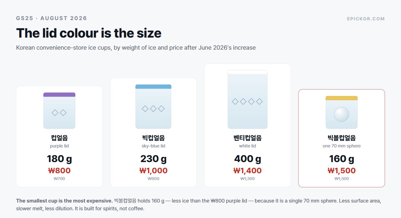 Chart of four GS25 ice cup sizes: 컵얼음 with a purple lid at 180 g and ₩800, 빅컵얼음 sky-blue at 230 g and ₩1,000, 벤티컵얼음 white at 400 g and ₩1,400, and 빅볼컵얼음 at 160 g and ₩1,500 for a single 70 mm sphere.