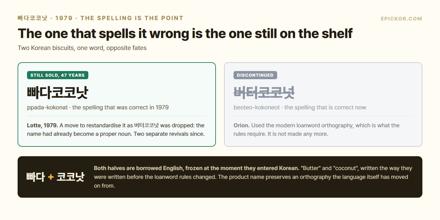 Comparison of 빠다코코낫 and 버터코코넛: Lotte's pre-standard spelling still sold after 47 years versus Orion's correctly spelled version, discontinued, with a panel explaining that both halves of the name are borrowed English frozen at the point they entered Korean.