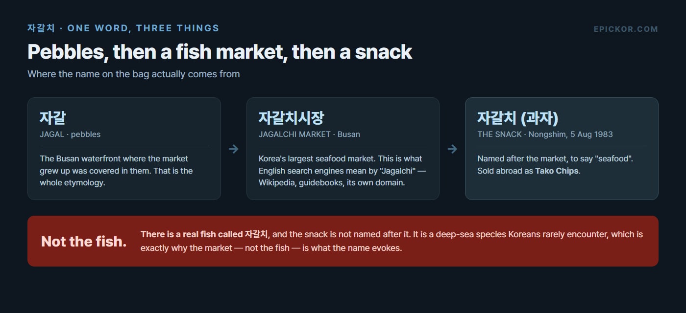Chart showing the chain 자갈 pebbles to 자갈치시장 the Busan fish market to 자갈치 the Nongshim snack launched 5 August 1983, with a panel noting the snack is not named after the real fish called 자갈치.