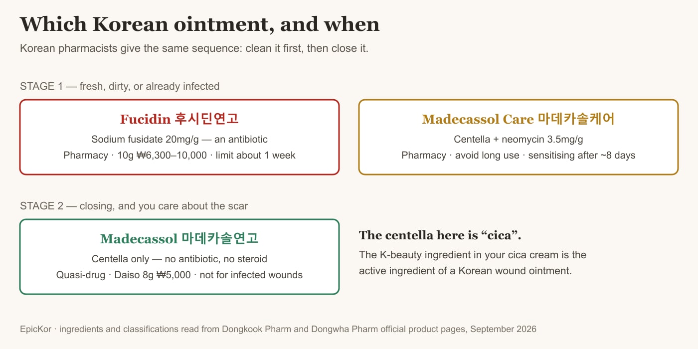 Decision chart: stage one is Fucidin with sodium fusidate 20mg/g or Madecassol Care with neomycin, both pharmacy-only; stage two is plain Madecassol with centella only, sold at Daiso for ₩5,000 — and the centella is the same ingredient as K-beauty cica.
