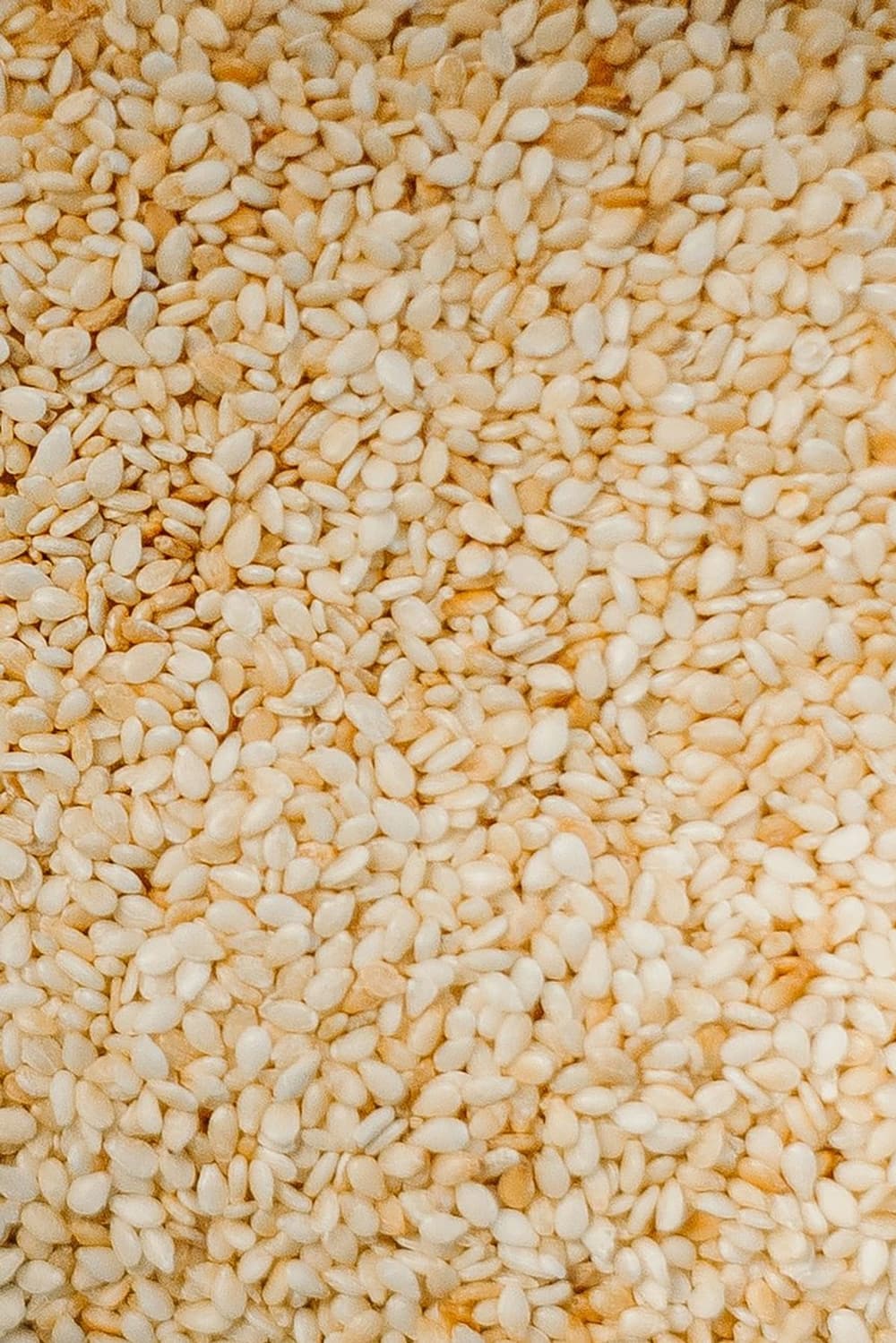 A close-up of pale sesame seeds filling the frame, showing the flattened teardrop shape of each seed.