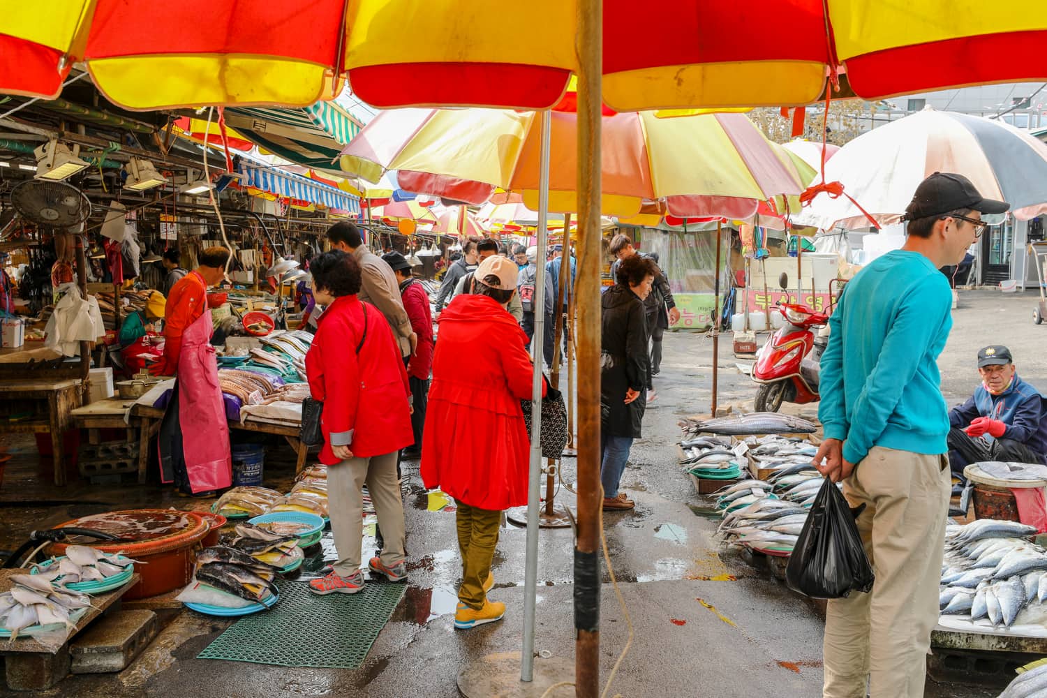 Why Do Koreans Stare at Foreigners? The 5% Country, and Where the Looking Actually Happens