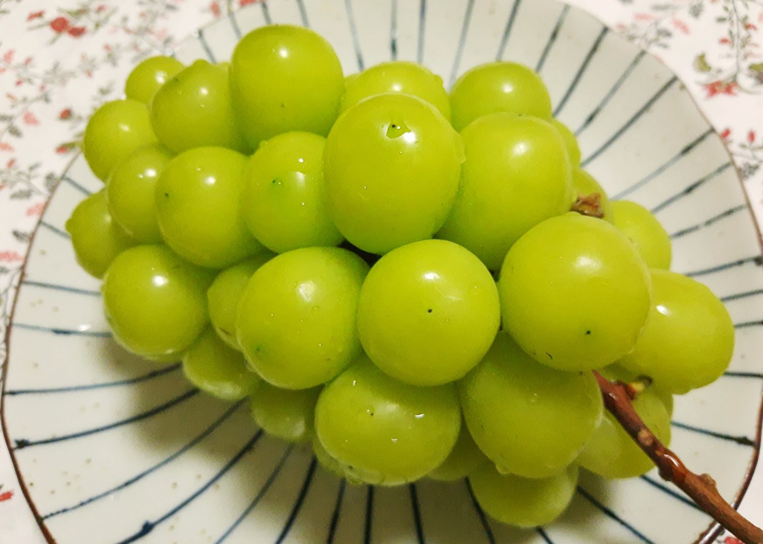 A bunch of pale green Shine Muscat grapes on a blue-rimmed plate.