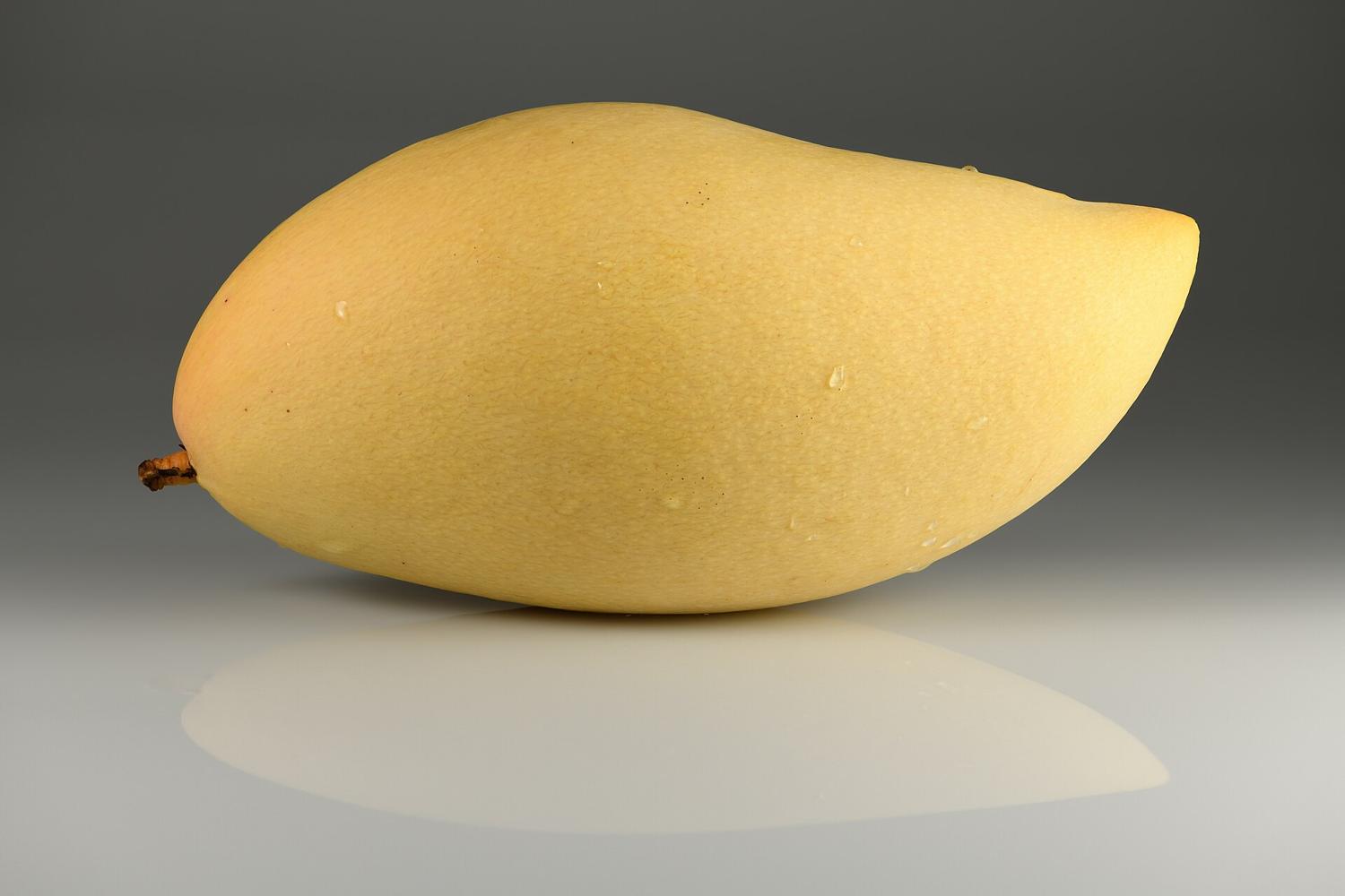 A single ripe yellow Nam Dok Mai mango, the Thai variety, on a grey studio surface.