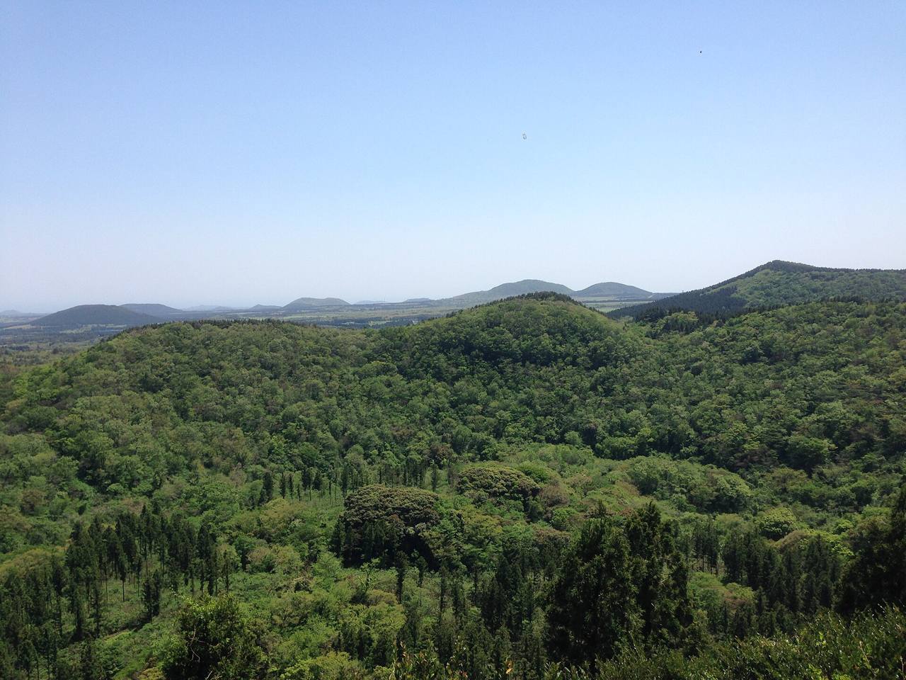 A wide view over Geomunoreum's forested crater from its summit, with other volcanic cones on the horizon under a clear sky.