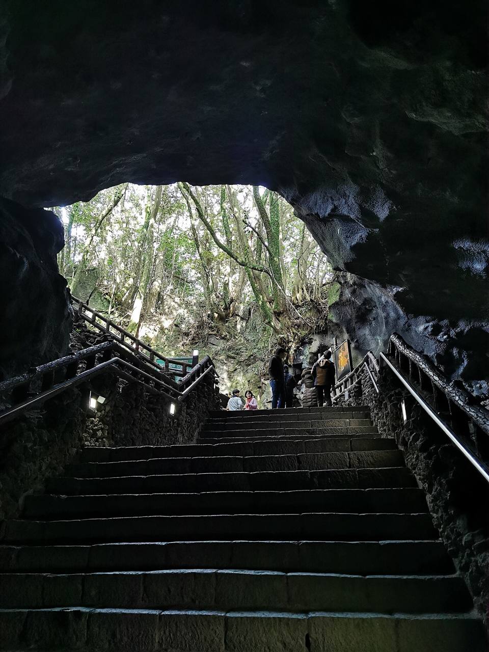 Looking up from inside Manjanggul toward the entrance, with stairs climbing out of the cave to the bright forest above.