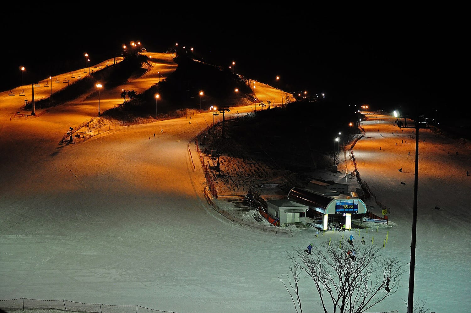 Night skiing at Alpensia in Pyeongchang: two floodlit white runs cutting down a black hillside, chairlift towers and light masts along the edges, an Alpine Coaster station with an illuminated lift-status board at the base, and skiers scattered across the snow.
