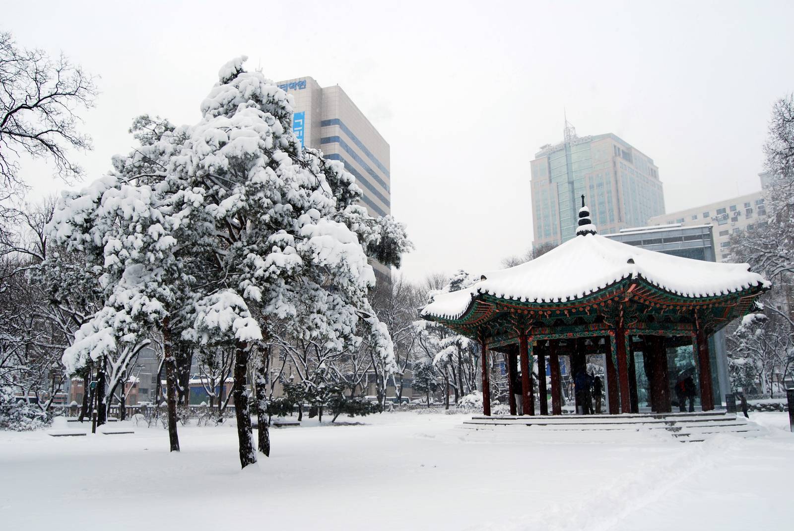 Tapgol Park in central Seoul after heavy snow: snow-laden pine trees and a small octagonal pavilion with a snow-covered roof, with office buildings behind.