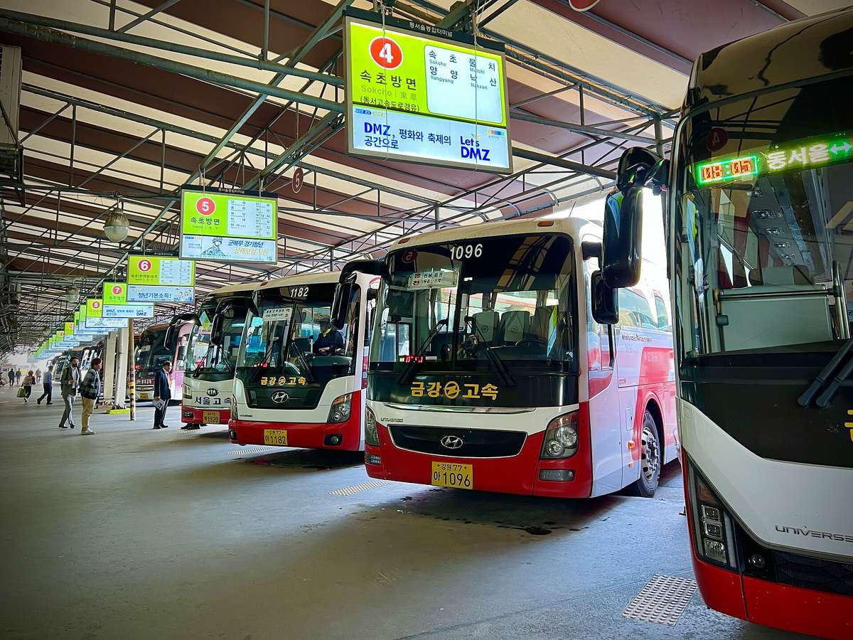 A row of red-and-white intercity coaches in the bays at Dong Seoul Bus Terminal under a green sign reading 4, 속초방면, Sokcho, listing 속초, 물치, 양양 and 낙산, with more Sokcho-direction bay signs 5 and 6 behind.