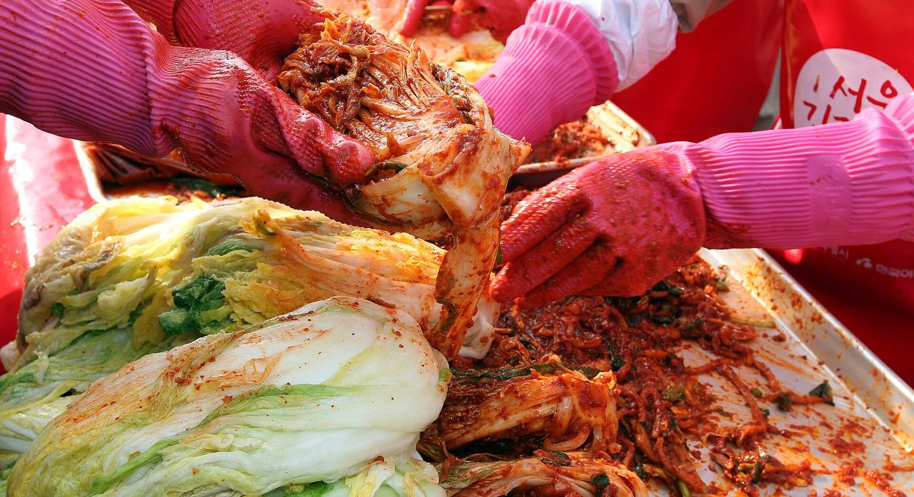 Close-up of hands in pink rubber gloves rubbing red pepper filling into the leaves of salted napa cabbage halves on a tray, at a Seoul kimchi-making event.