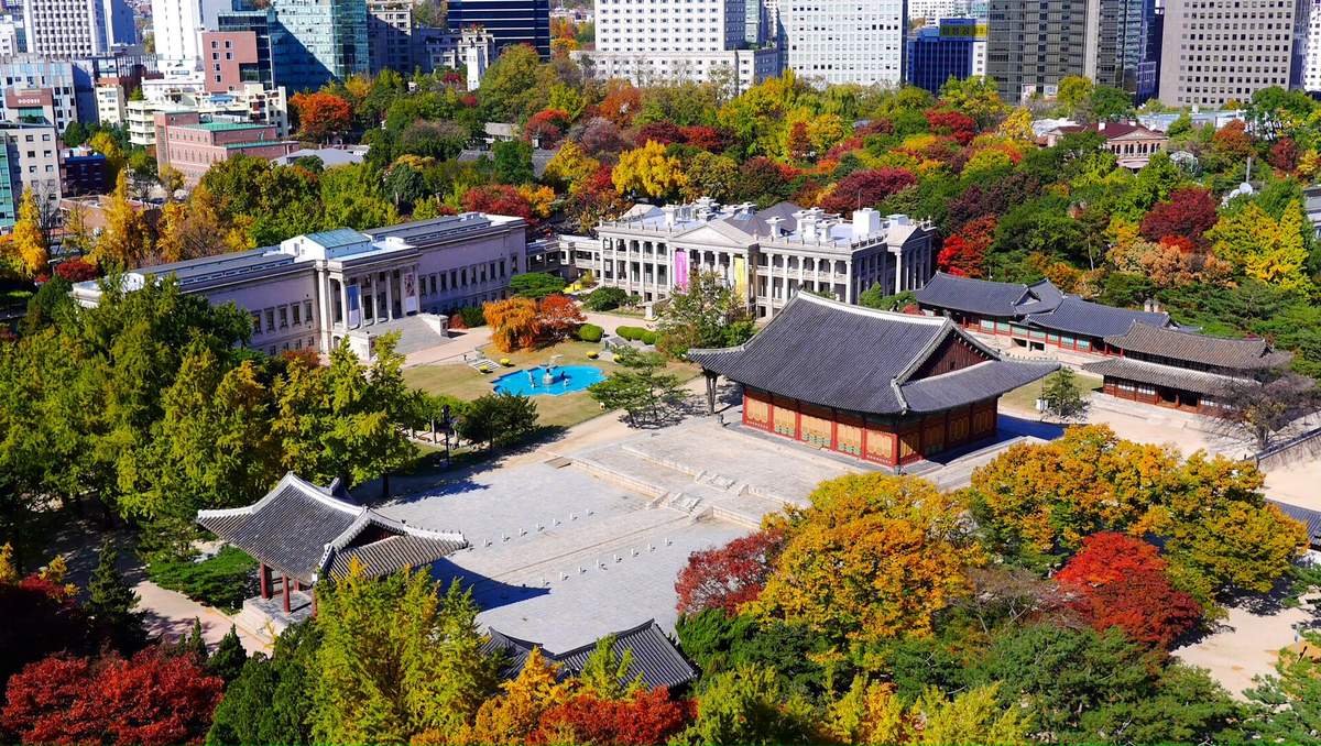 Deoksugung Palace in central Seoul from above in early November: the stone-paved courtyard and Junghwajeon throne hall, the Western-style Seokjojeon buildings behind it, and trees in red, orange and yellow against office towers.